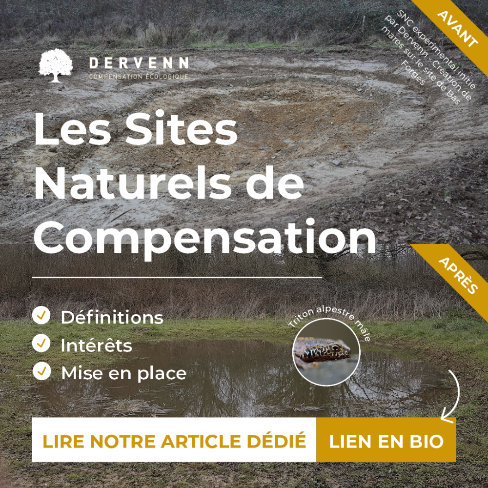 Sites Naturels de Compensation (SNC)